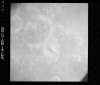 AS10-28-4125