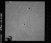 AS10-31-4631