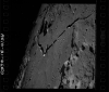 AS10-31-4650