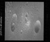 AS10-31-4665