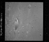 AS10-31-4672