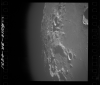 AS10-32-4821