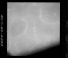 AS10-32-4832