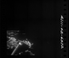 AS11-42-6272