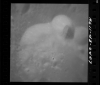 AS11-43-6407