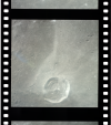 AS12-51-7463