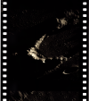 AS12-51-7483