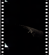 AS12-51-7487