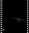 AS12-51-7488