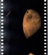 AS13-61-8743