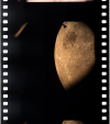 AS13-61-8745