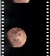 AS13-61-8810