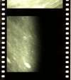 AS14-73-10044