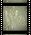 AS14-73-10079