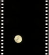 AS14-73-10197