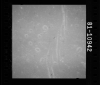 AS15-81-10942