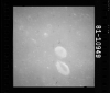 AS15-81-10949