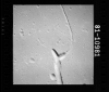 AS15-81-10981