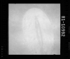 AS15-81-10992