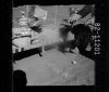 AS15-82-11201