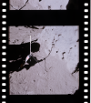 AS15-87-11770
