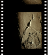 AS15-88-11982