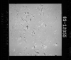 AS15-89-12055