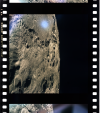 AS15-91-12376