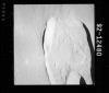 AS15-92-12480