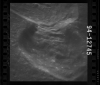 AS15-94-12745