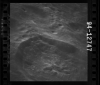 AS15-94-12747