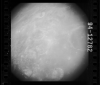 AS15-94-12782