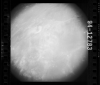 AS15-94-12783