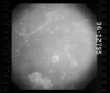 AS15-94-12795
