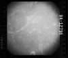 AS15-94-12796