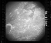 AS15-94-12802