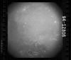AS15-94-12806