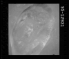 AS15-95-12931