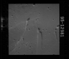 AS15-95-12981