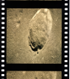 AS15-96-13013