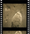 AS15-96-13014