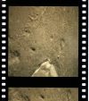 AS15-96-13015