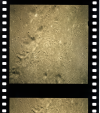 AS15-96-13016