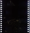 AS15-96-13031