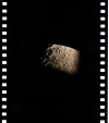 AS15-96-13081