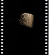 AS15-96-13082