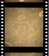 AS15-97-13212