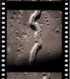 AS15-97-13258