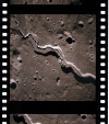 AS15-97-13260