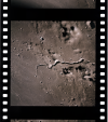 AS15-97-13262